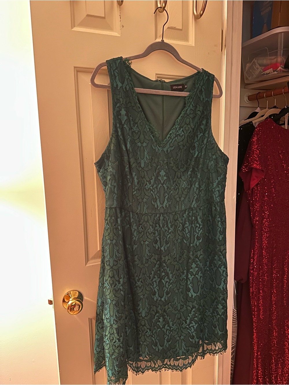 Green Lace V-Neck Mini Dress by Lela Lane